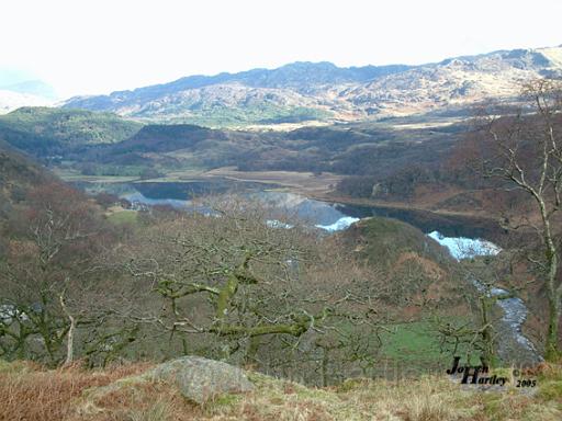 From top Dinas Emrys.jpg